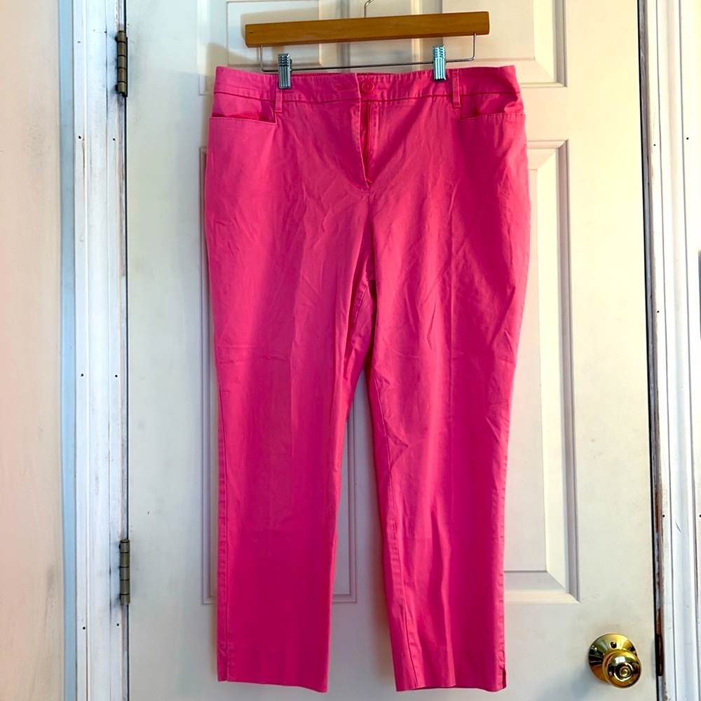 Talbots Chatham Ankle Skinny Pants Pink Stretchy Flat Front Chino Size 10 Petite